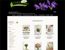 Tablet Screenshot of fleuristesolangeroy.com